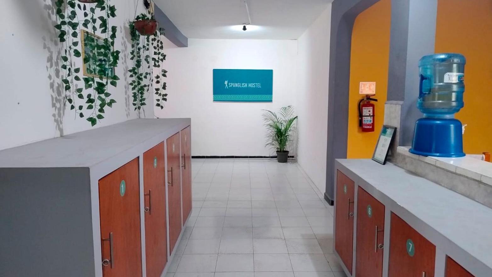 Spanglish Hostel Вальядолід Екстер'єр фото